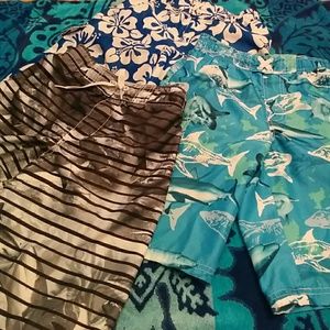 Boys Set of Swim Trunks (price drop)